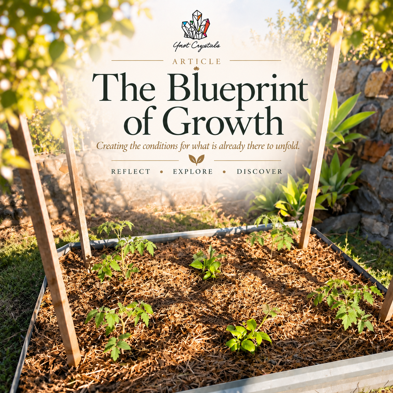 The Blueprint of Growth