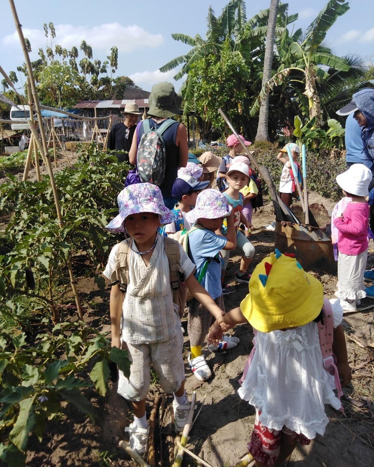 Farm to table field trip.
We had a wonderful experience going to a lovely local organic farm just down the road, we saw how eggplant, okra, sugar cane, cucumber, green beans and basil grow. The children were fascinated by the beautiful flowers that t