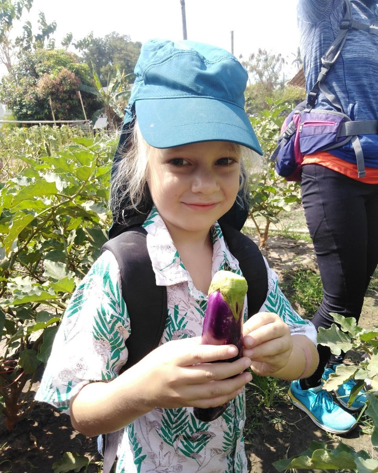 Farm to table field trip.
We had a wonderful experience going to a lovely local organic farm just down the road, we saw how eggplant, okra, sugar cane, cucumber, green beans and basil grow. The children were fascinated by the beautiful flowers that t