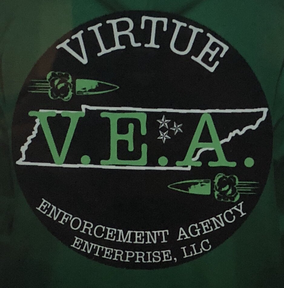 Virtue Enforcement Agency Enterprise, LLC