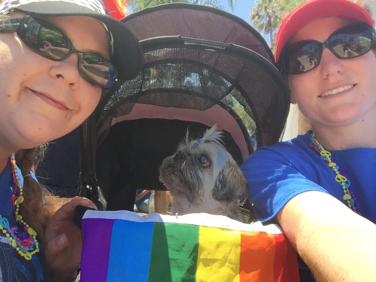 San Diego Pride 2017 with the San Diego Humane Society
