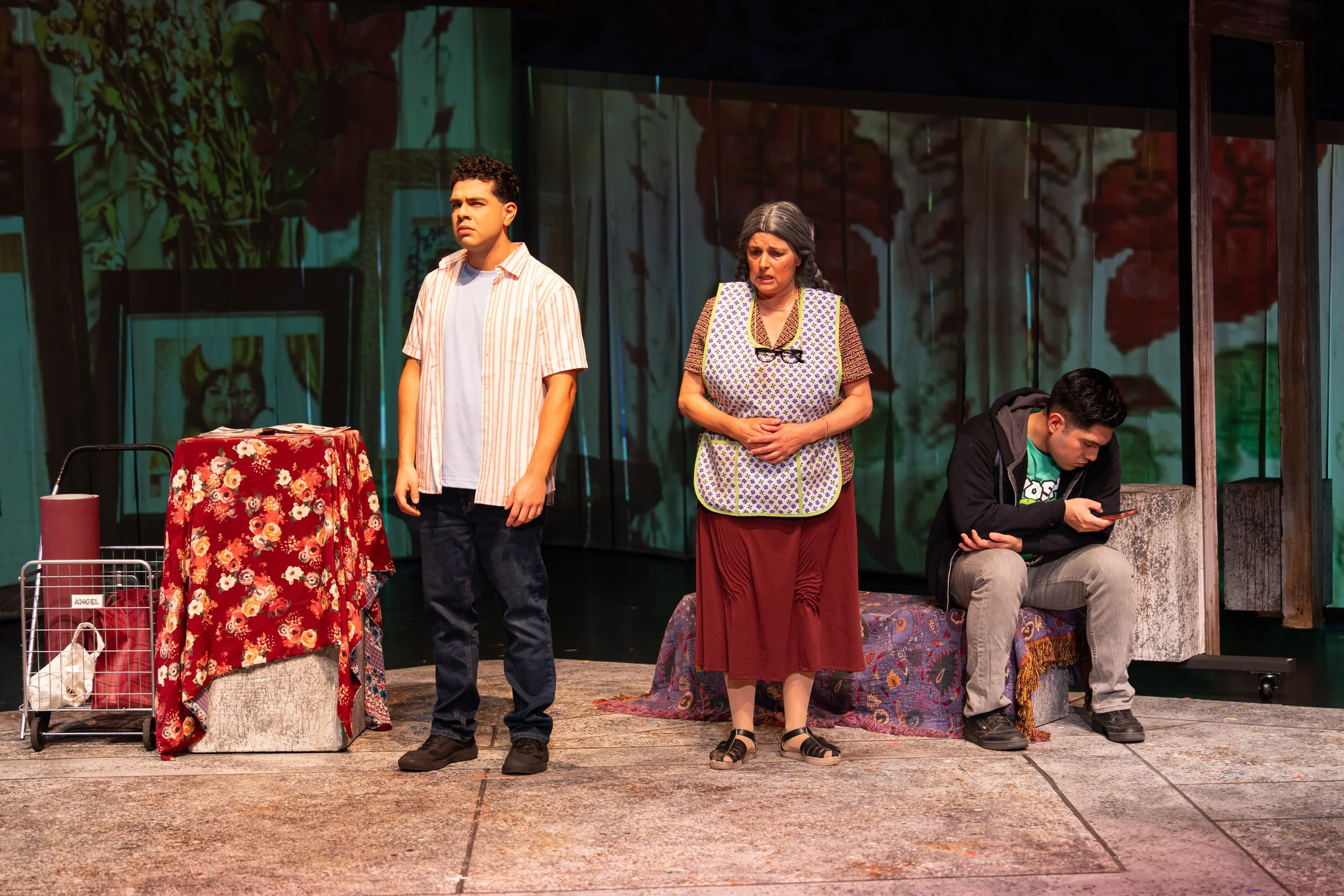 Mama Dona living room.jpg