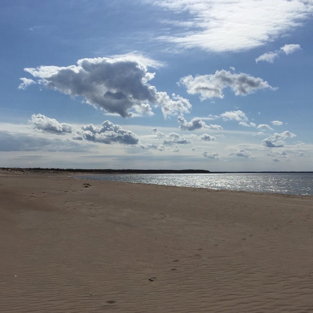 Millaisella katseella katsot vuotta 2020?