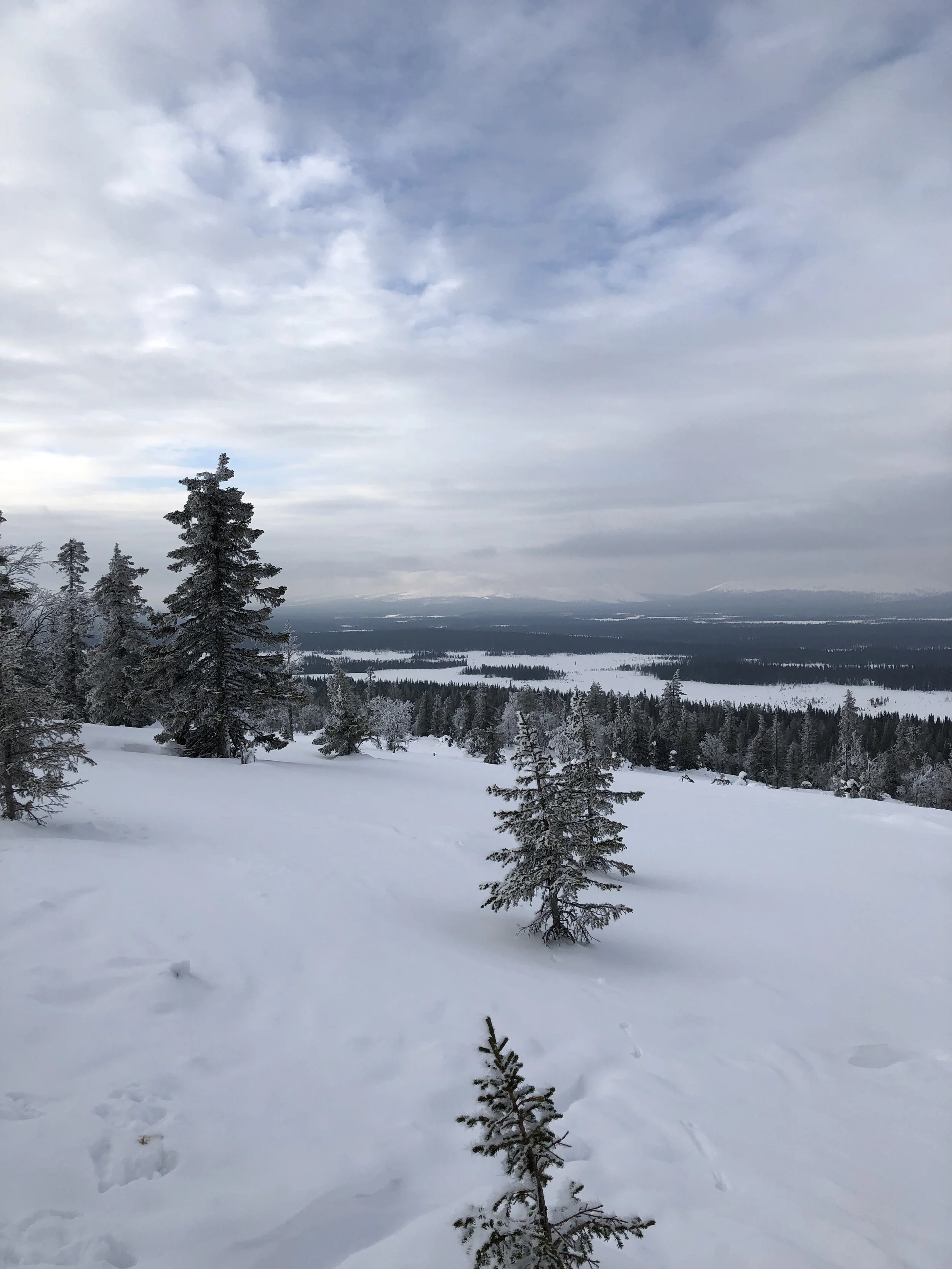 Haavepalo hiihtäen - lyhyt versio