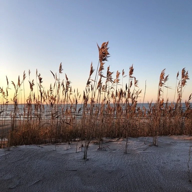 Keskeneräisyyden ylistys