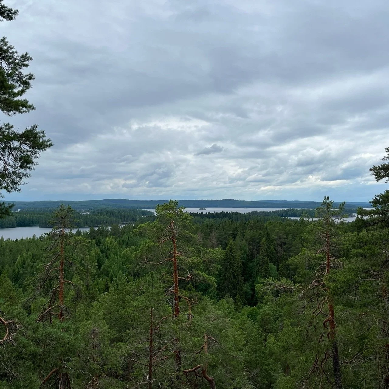 Kolmen vuoren vaellus Konnevedellä
