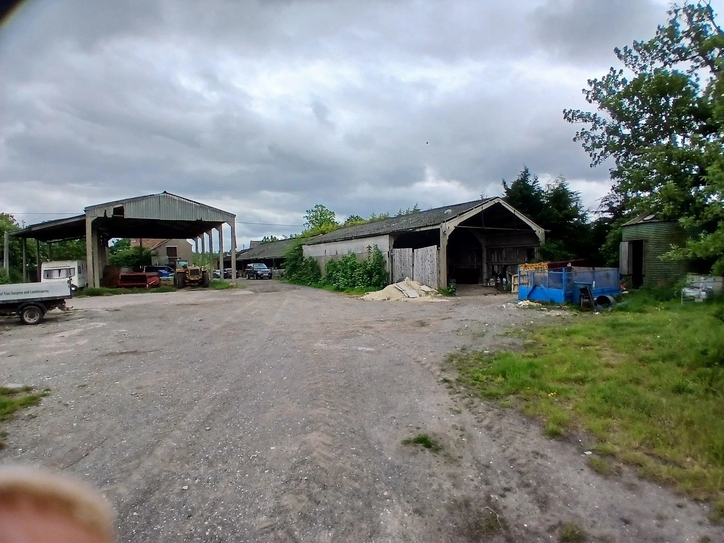Rear Yard.JPG