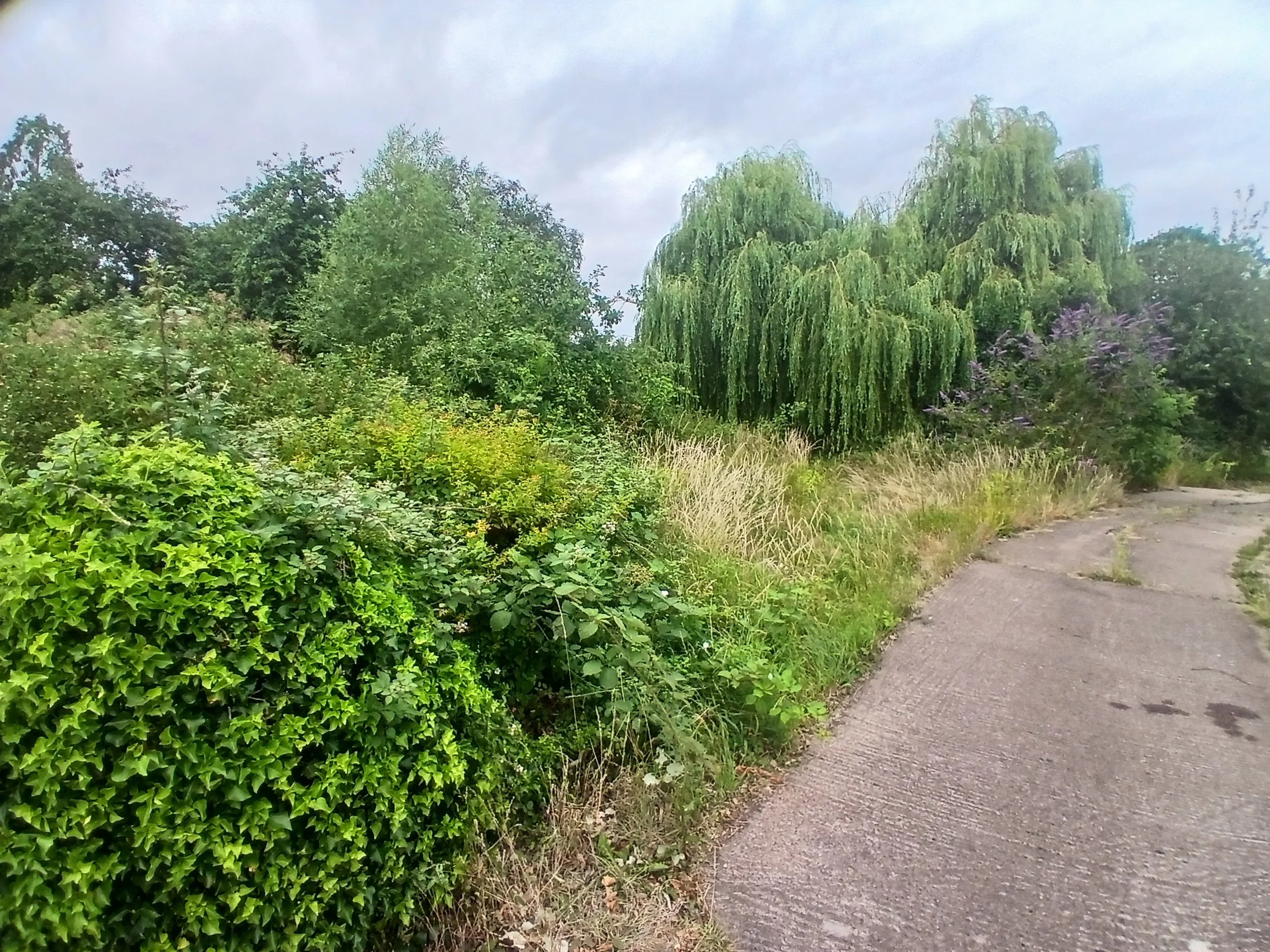 20260706_181023.jpg