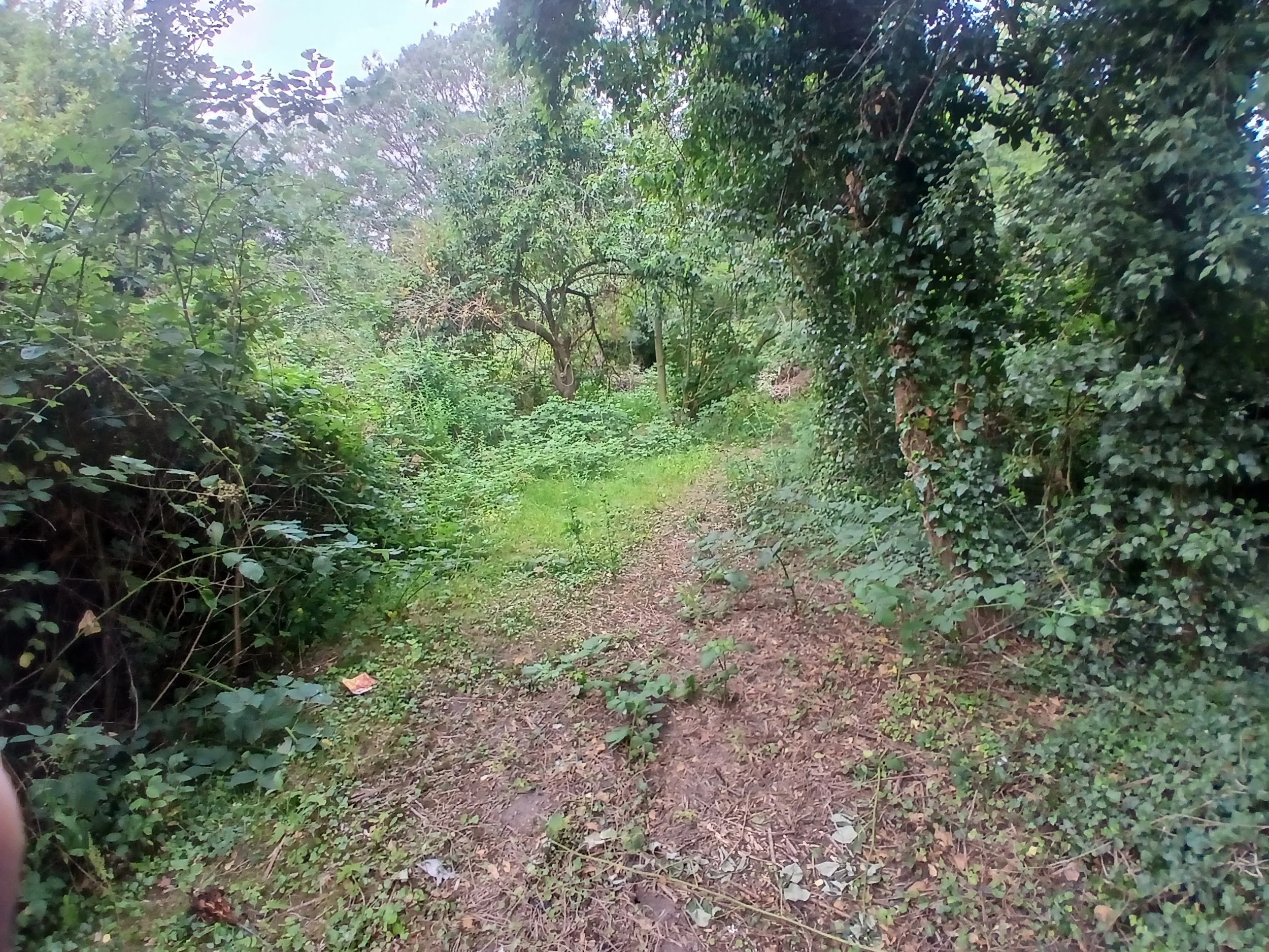 20260706_181114.jpg