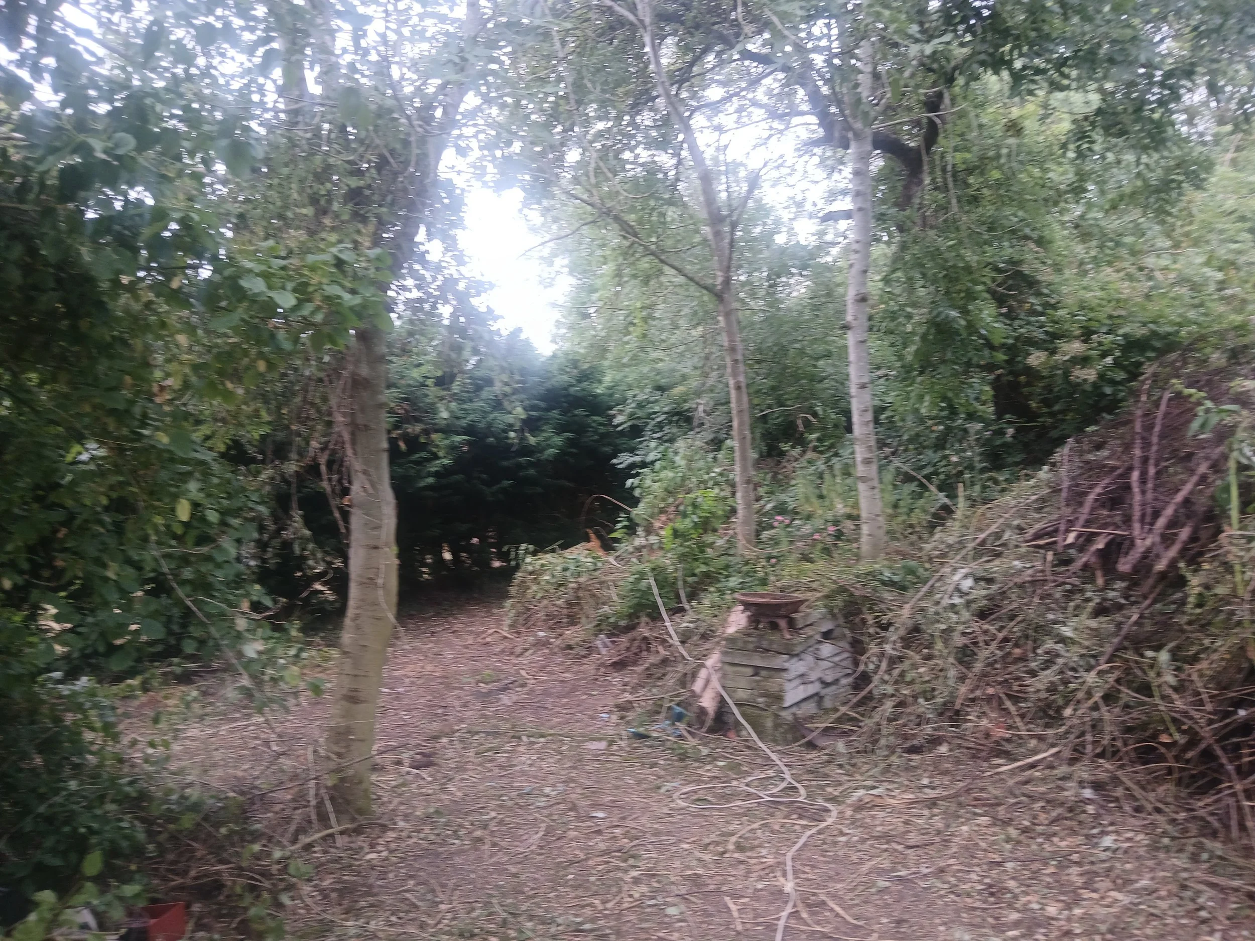 20260706_181342.jpg