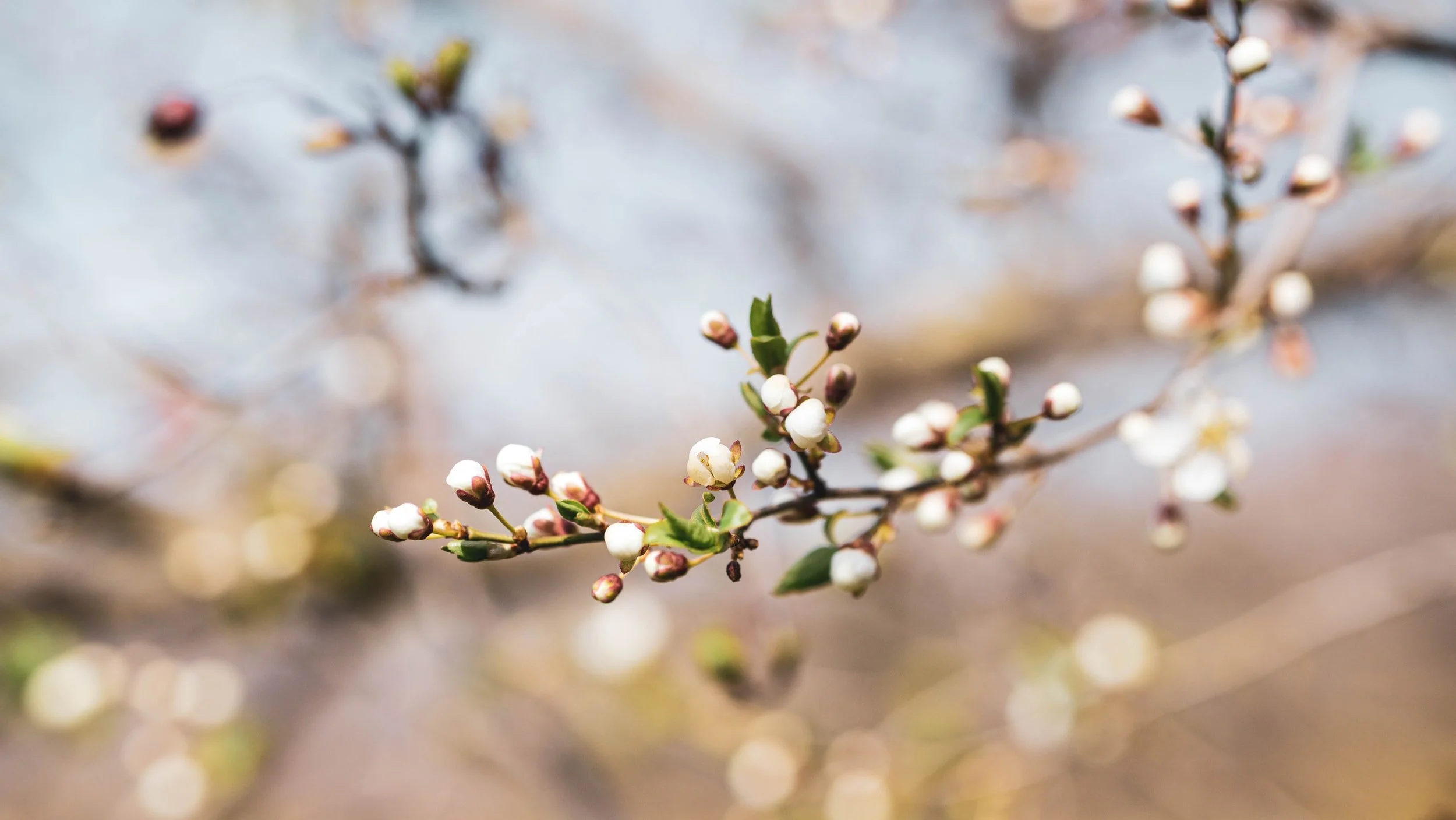 The Great Unfolding