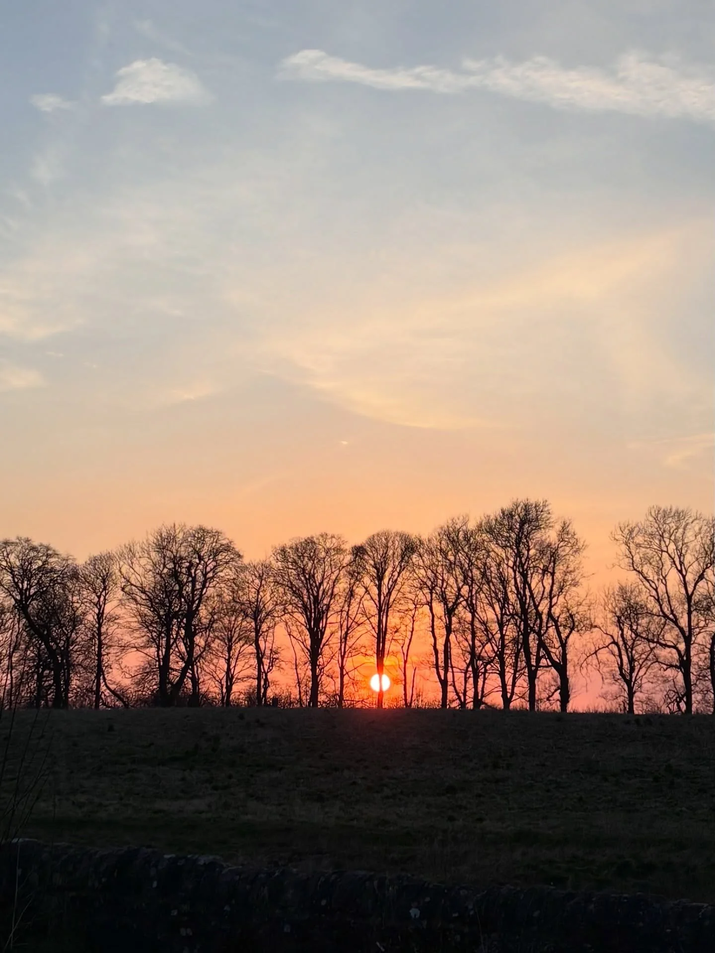 Grief is a big part of the menopause transition. The amount of shedding, releasing and letting go is unbelievable.

Relinquishing identity, youth and fertility can be incredibly challenging for some. If your sense of worth and value are attached to t