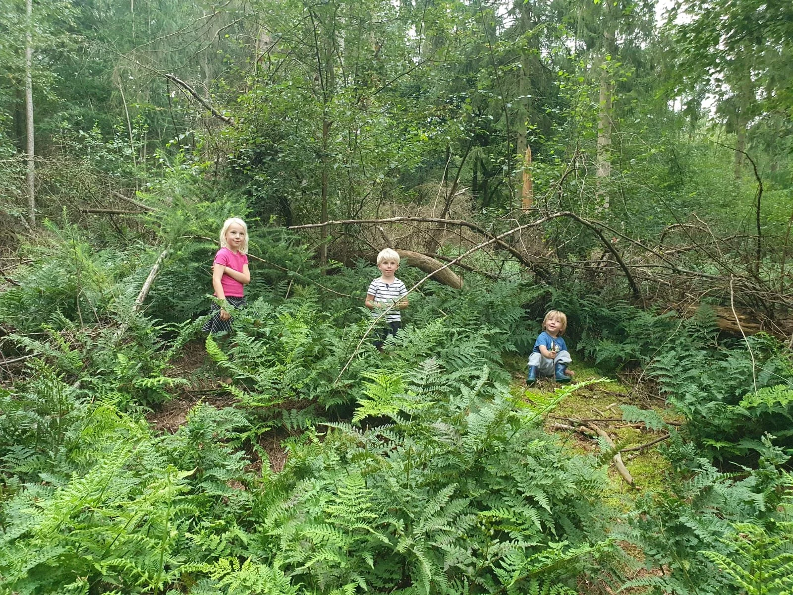 Agenda — Kinderen van moeder aarde