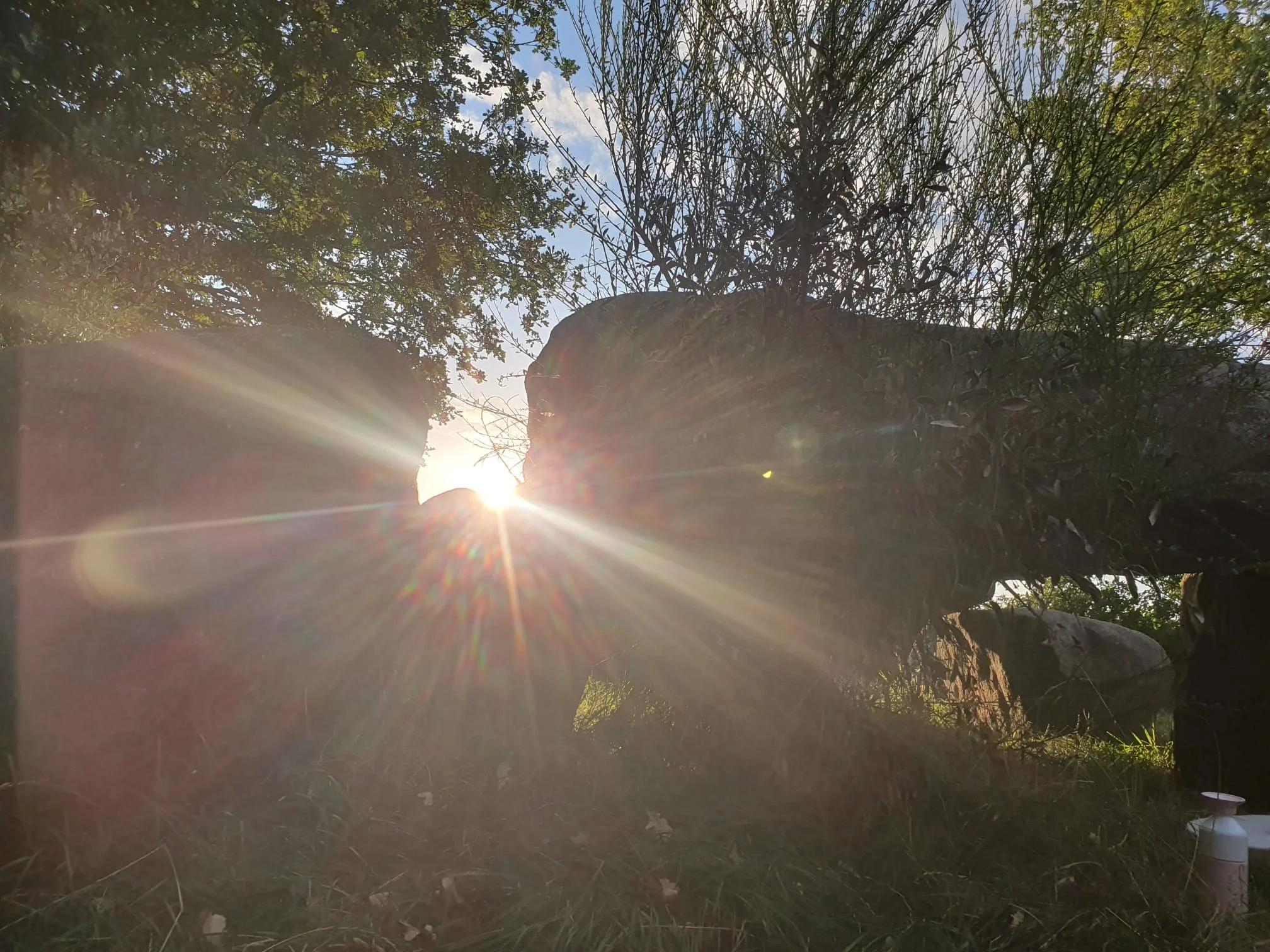 Akasha Kronieken Training