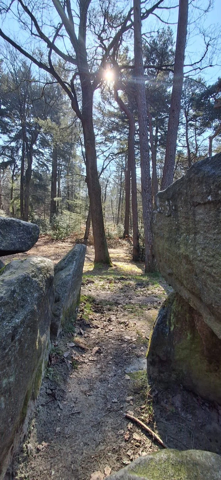 𝙃𝙪𝙣𝙚𝙗𝙚𝙙𝙙𝙚𝙣 𝘾𝙤𝙙𝙚𝙭 𝙑𝙧𝙤𝙪𝙬𝙚𝙣𝙧𝙚𝙩𝙧𝙖𝙞𝙩𝙚: 𝙏𝙚𝙧𝙪𝙜𝙠𝙚𝙚𝙧 𝙣𝙖𝙖𝙧 𝙙𝙚 𝘽𝙖𝙖𝙧𝙢𝙤𝙚𝙙𝙚𝙧 𝙫𝙖𝙣 𝙙𝙚 𝘼𝙖𝙧𝙙𝙚