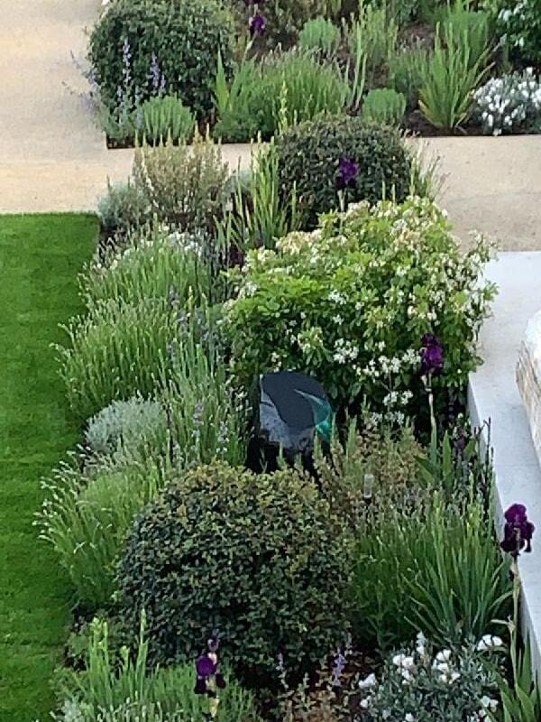 alaster-anderson-contemporary-london-garden-planting-expert-portfolio-terrace-herbaceous-border crop-head-gardener-service- --600.jpg