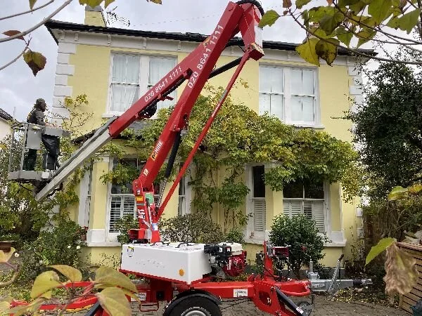 working-at-height-wisteria-pruning-alaster-anderson-head-gardener-service-maintenance-garden-design.jpg