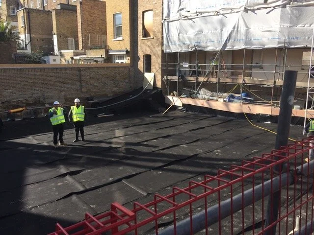 The whole of this garden had been excavated to extend the house. We used tree sand as our top soil, allowing the garden to be installed while many yardmen worked on the building. No mud, no mess!
