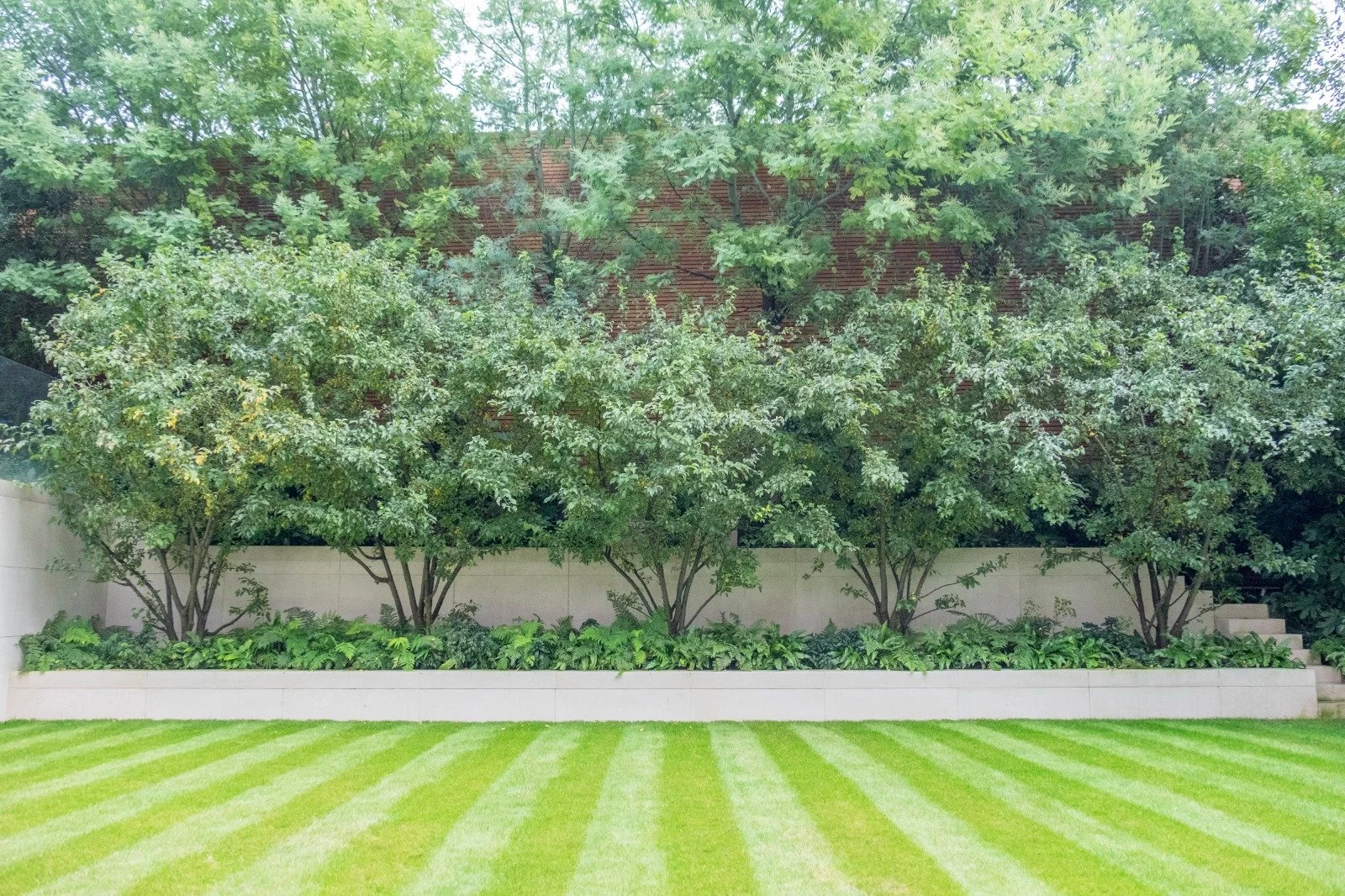 WhatsApp Image 2021-11-09 at 11.07.50.jpeg