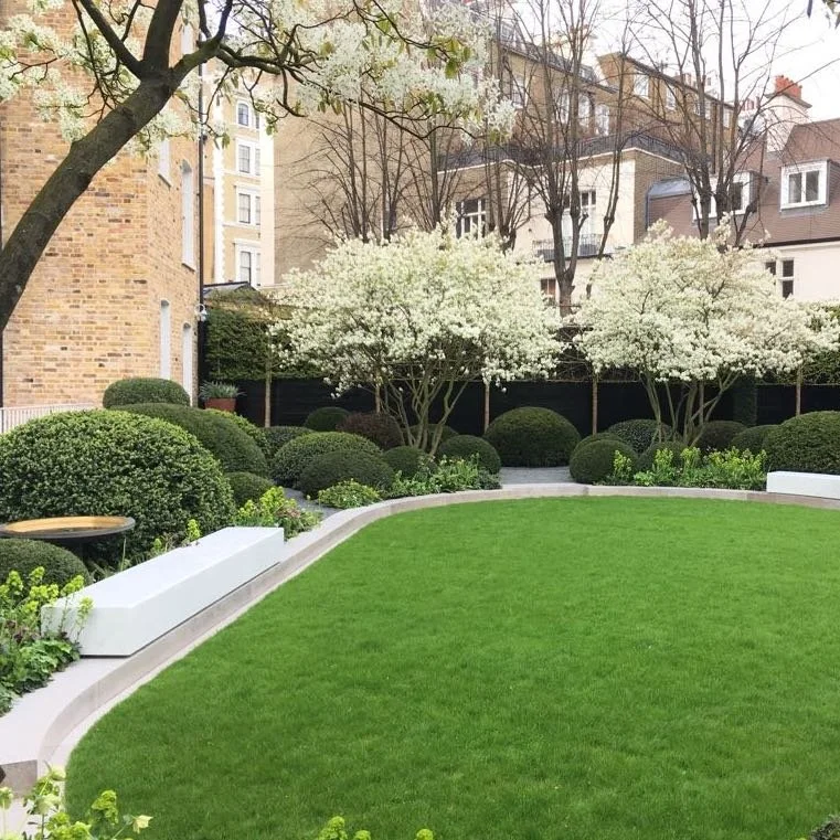 The importance of sourcing good-quality plants