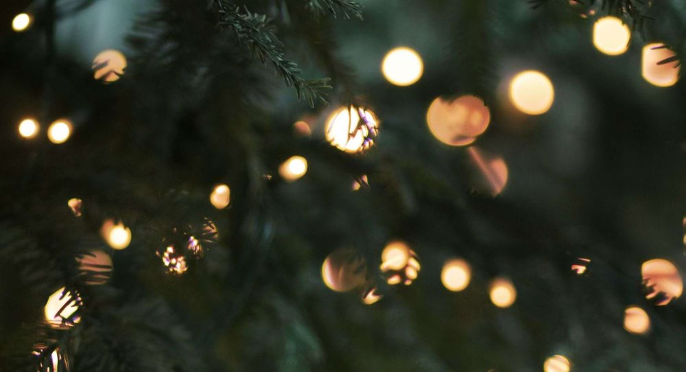 christmas-tree-fairy-lights-garden-design-london-plant-expert-1500.jpg