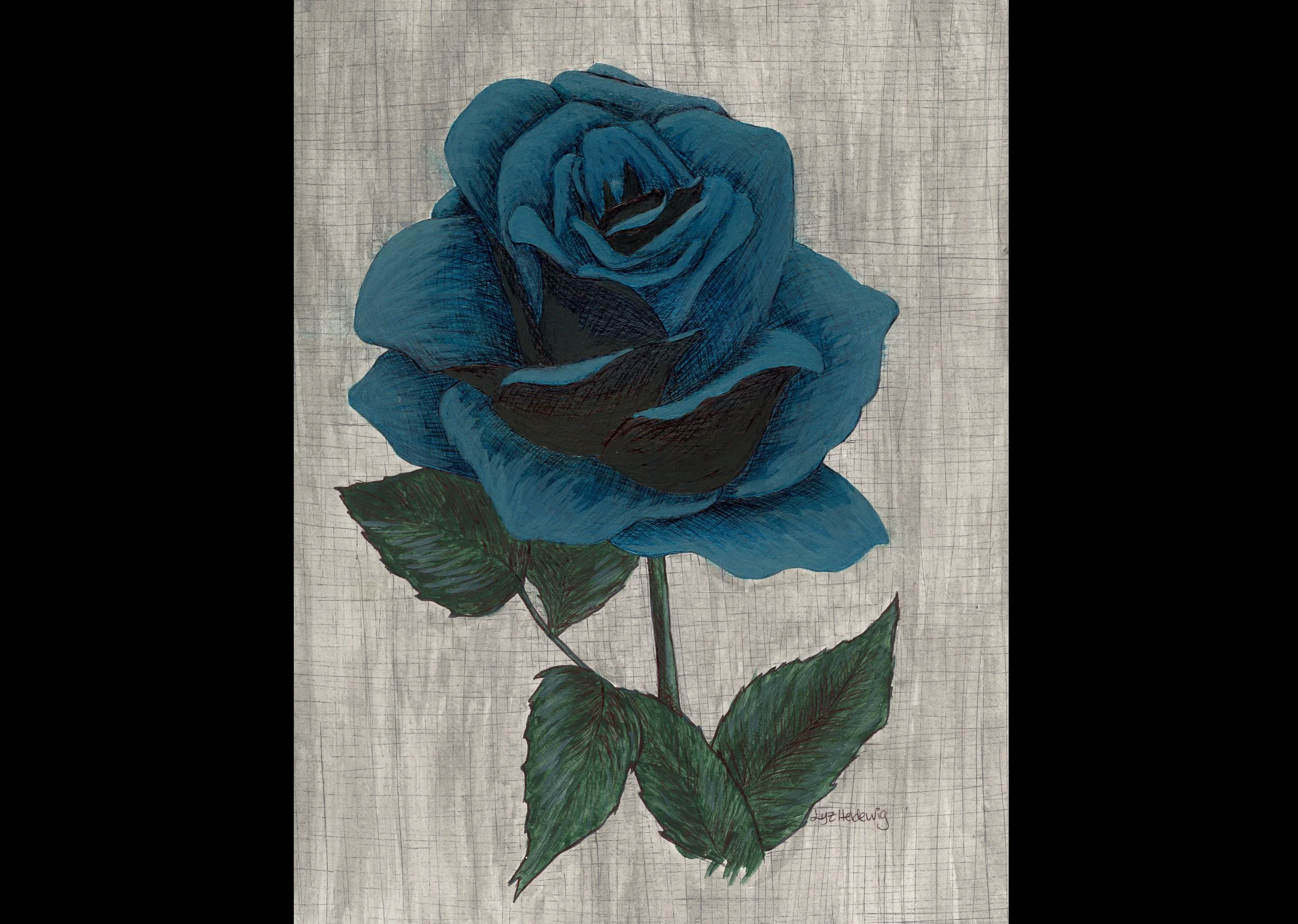 Blue rose.jpg