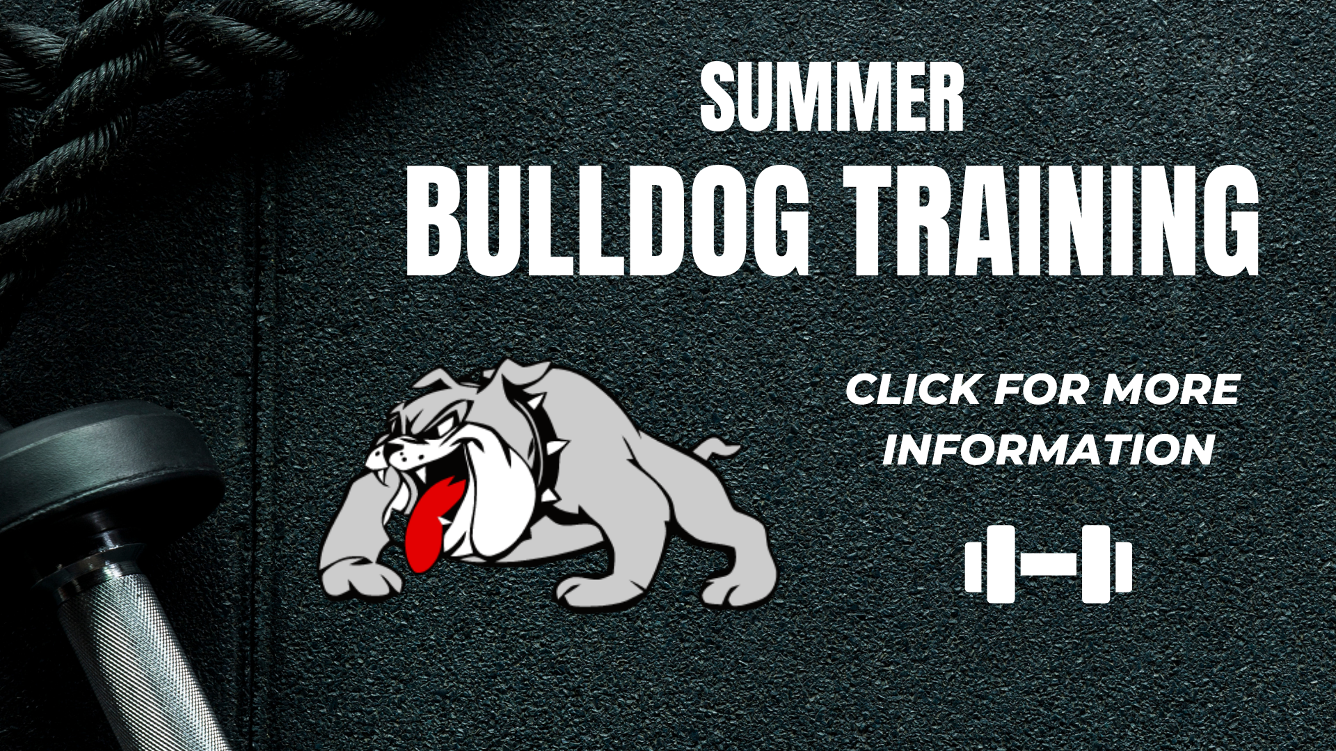 bulldog training - 2026.png