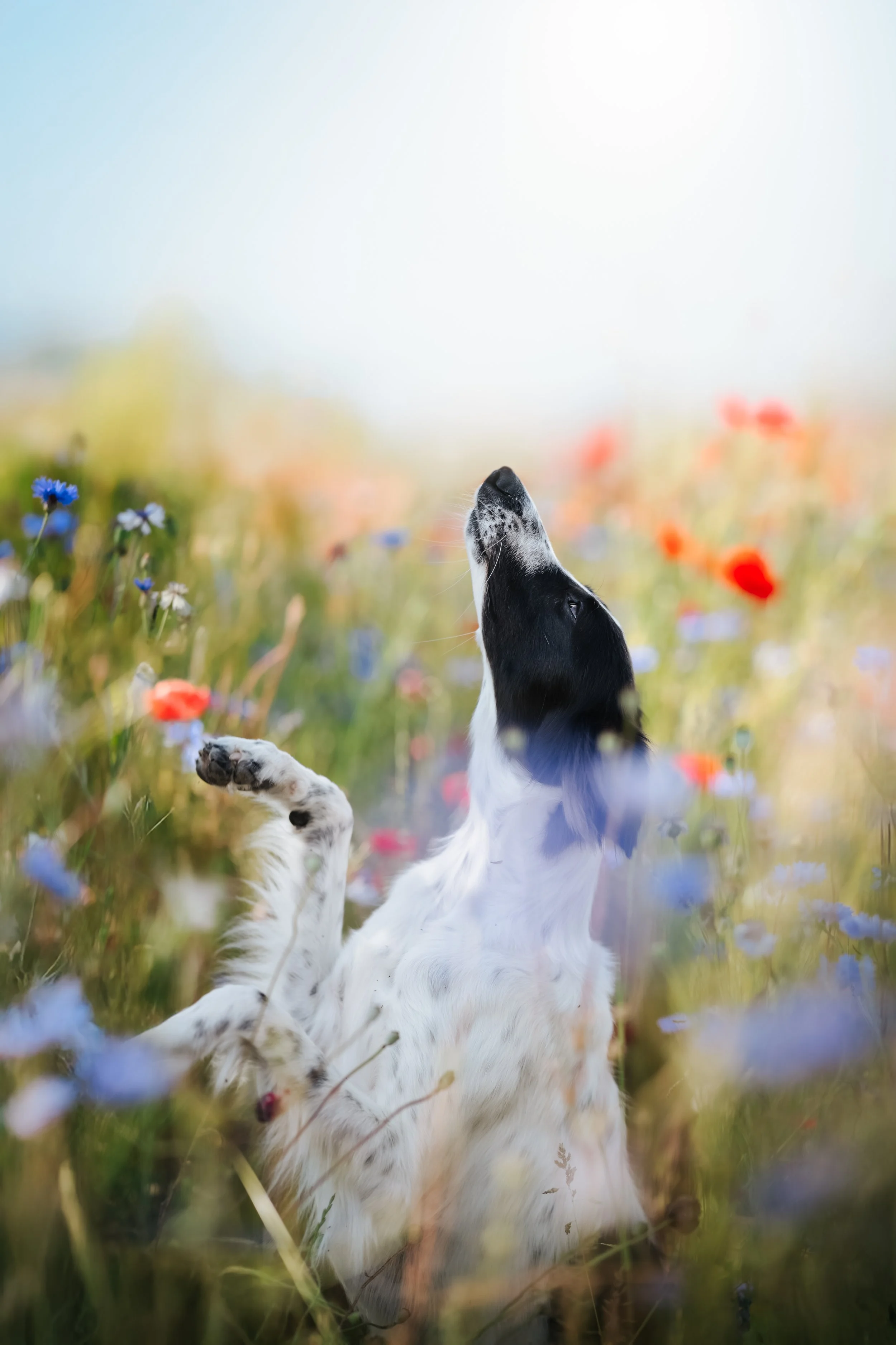 0C1A2664-Edit.jpg