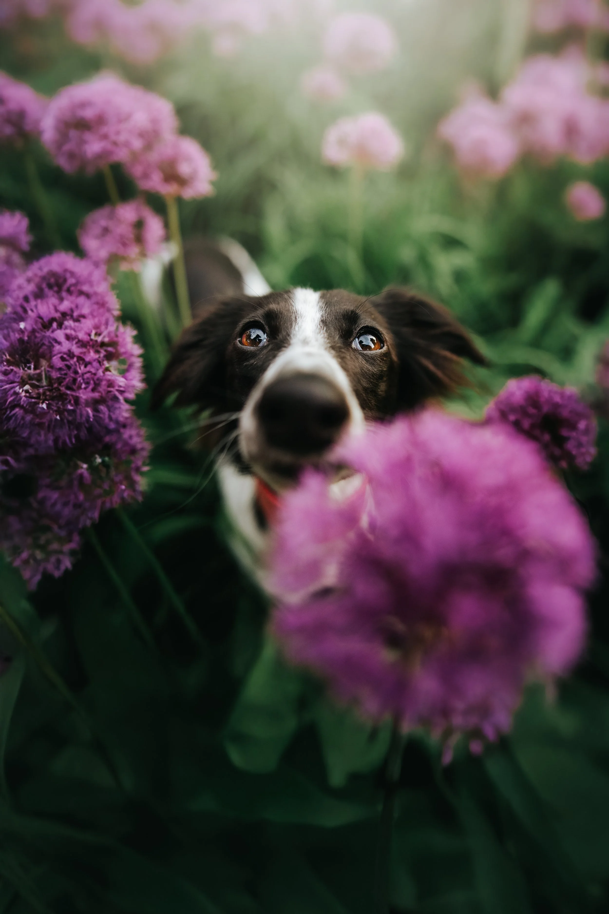 0C1A9535-Edit.jpg