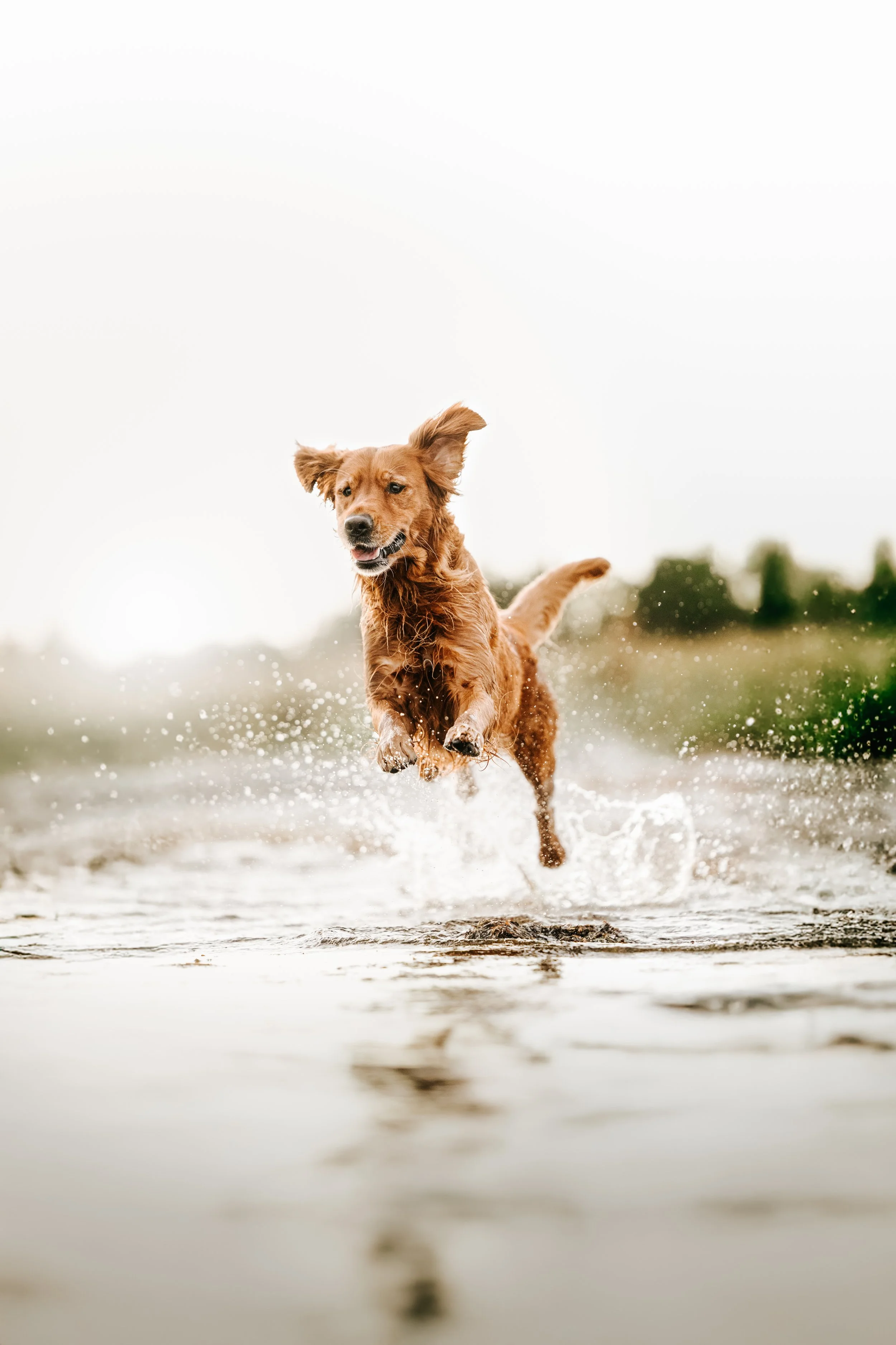 0C1A7767-Edit.jpg