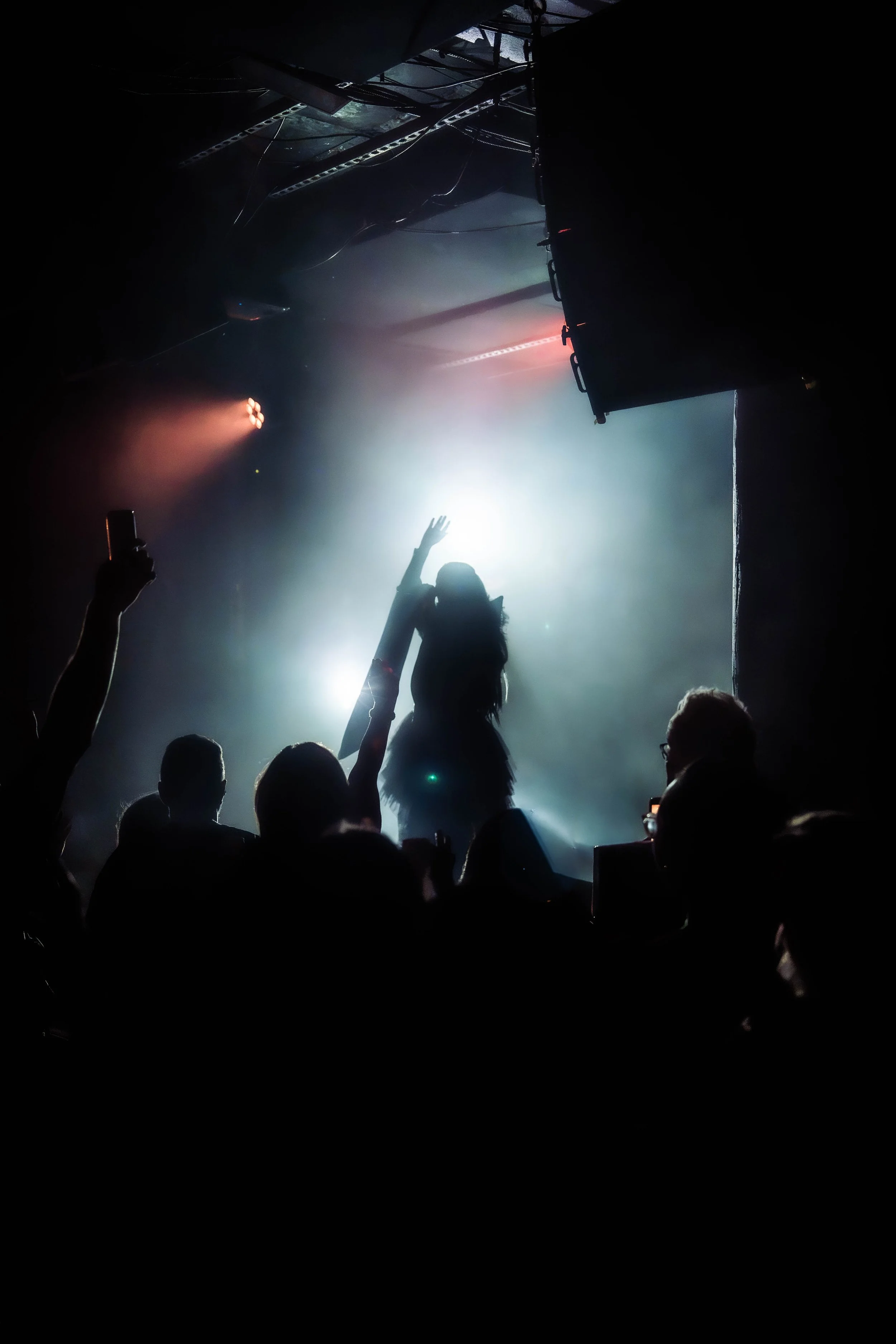 DSC08160.jpg