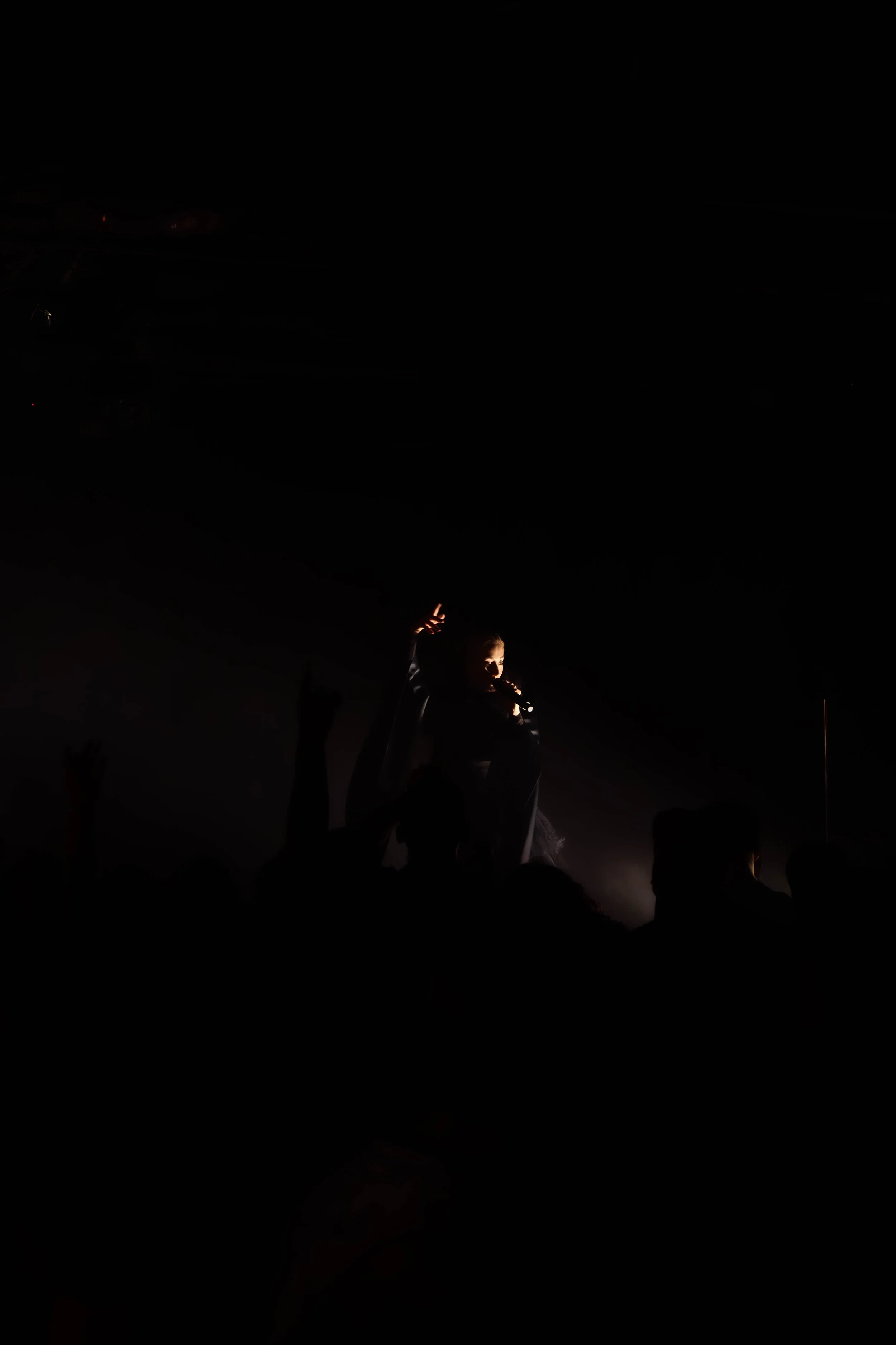 DSC08211.jpg