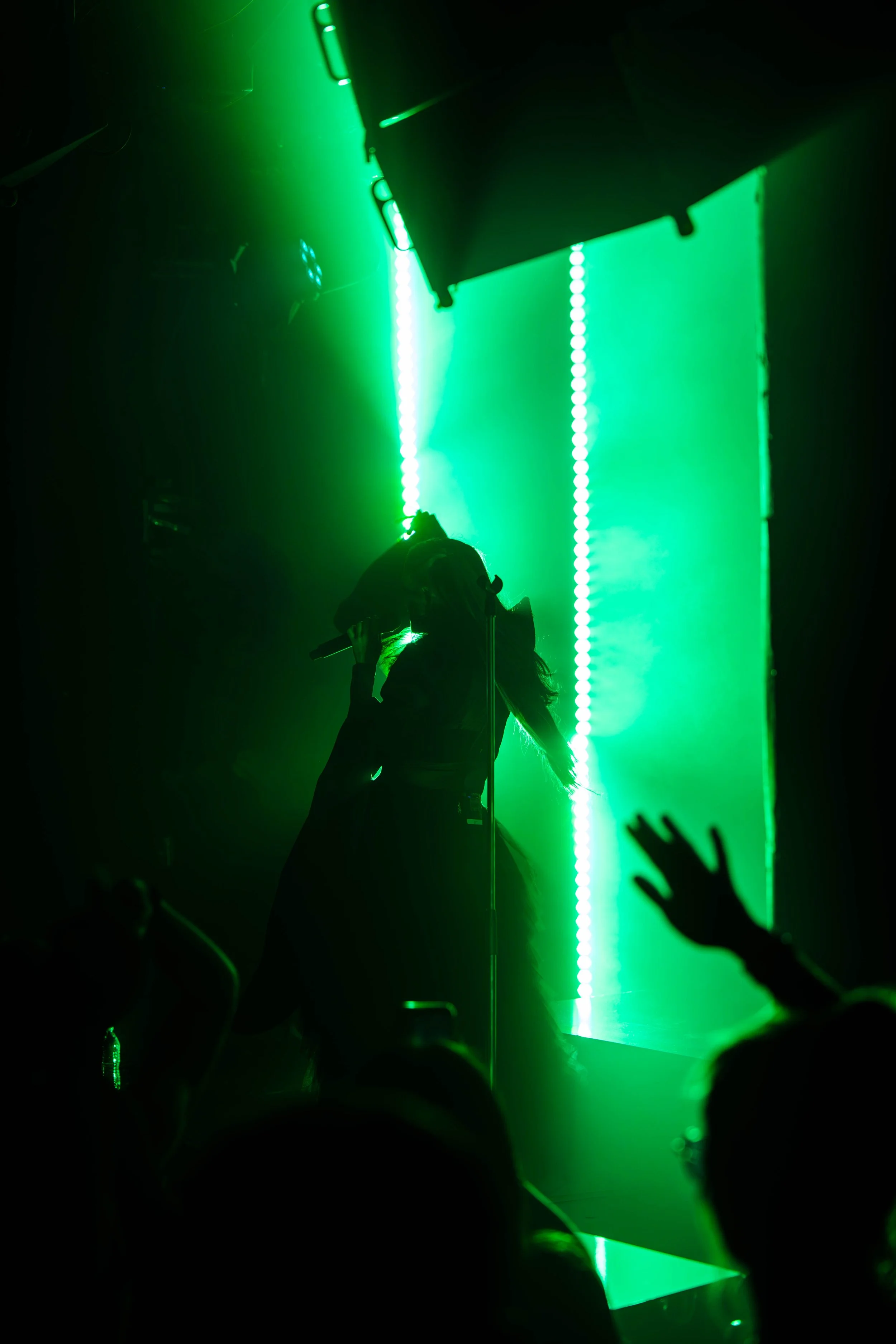 DSC08542.jpg