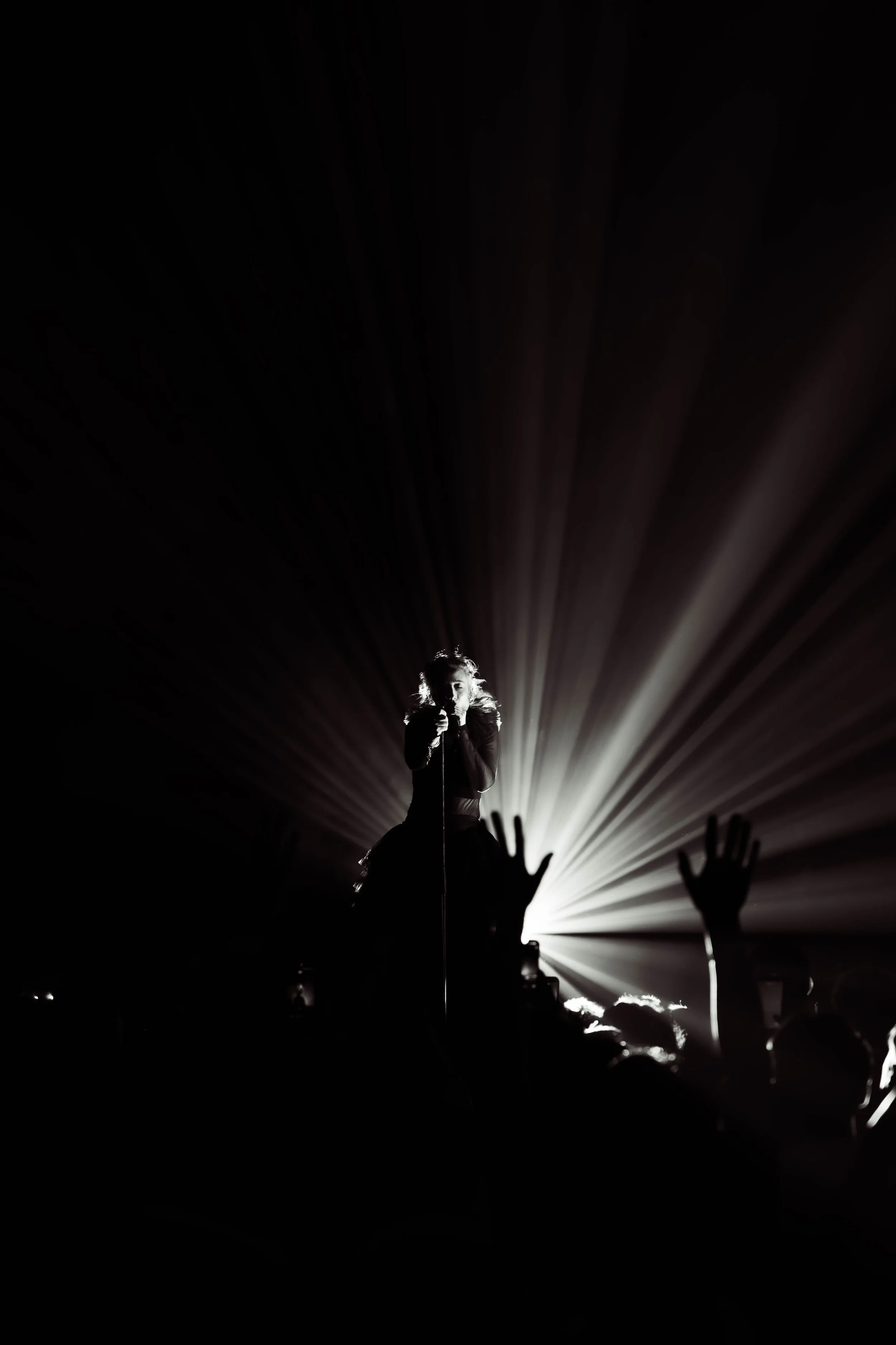 DSC07850-2.jpg