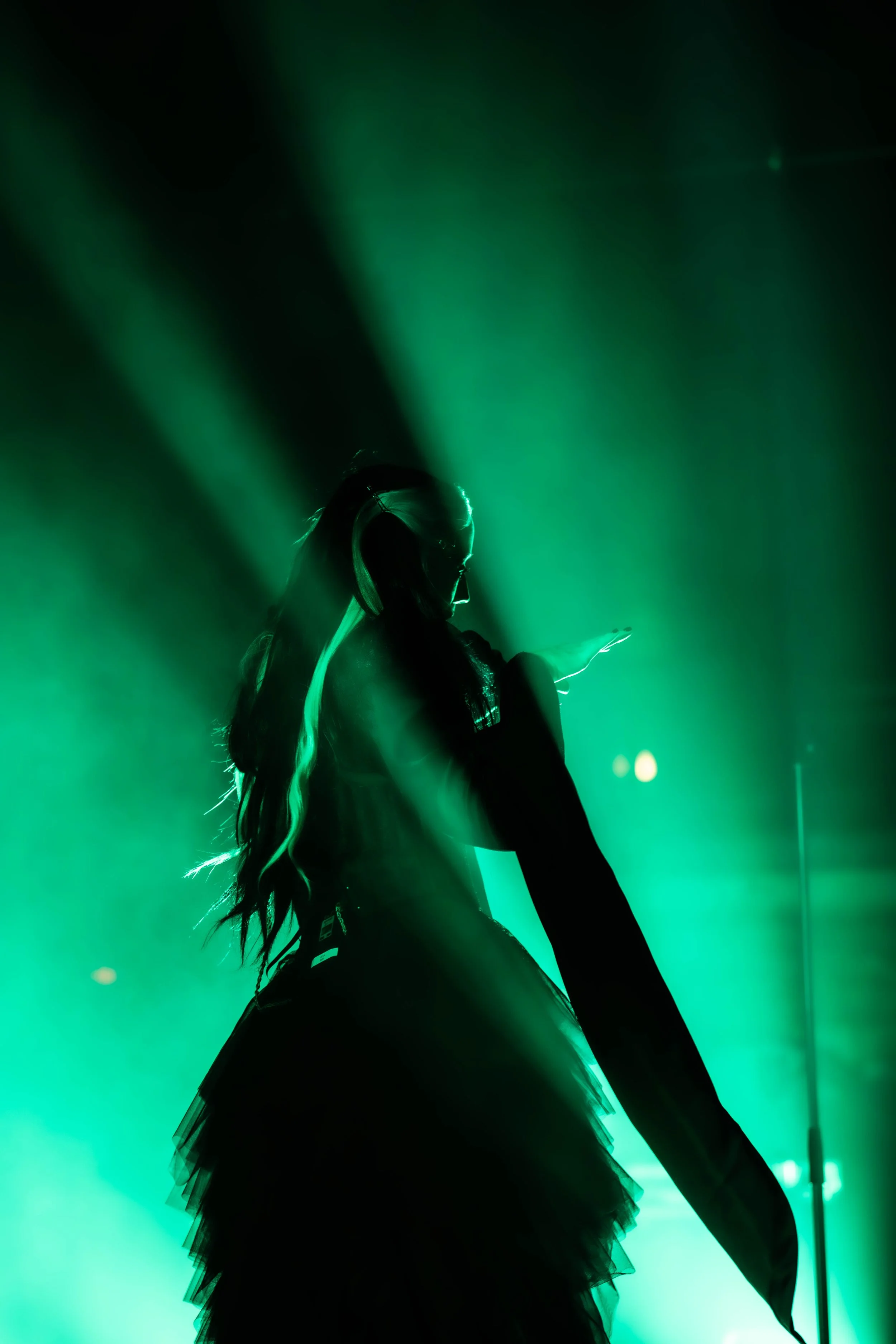 DSC06717.jpg