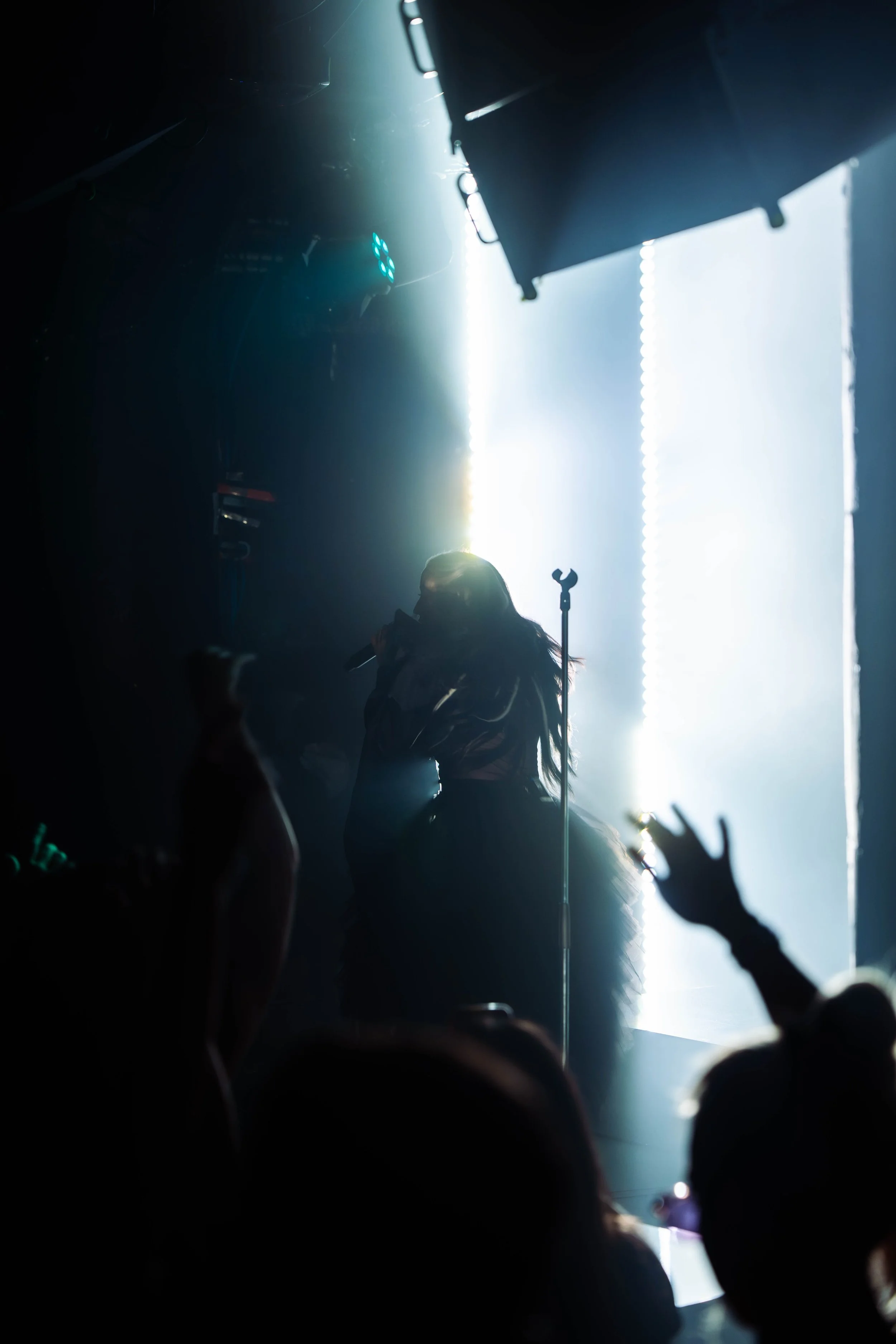 DSC08545.jpg