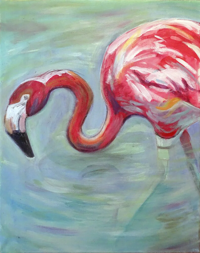 Flamingo Reflection