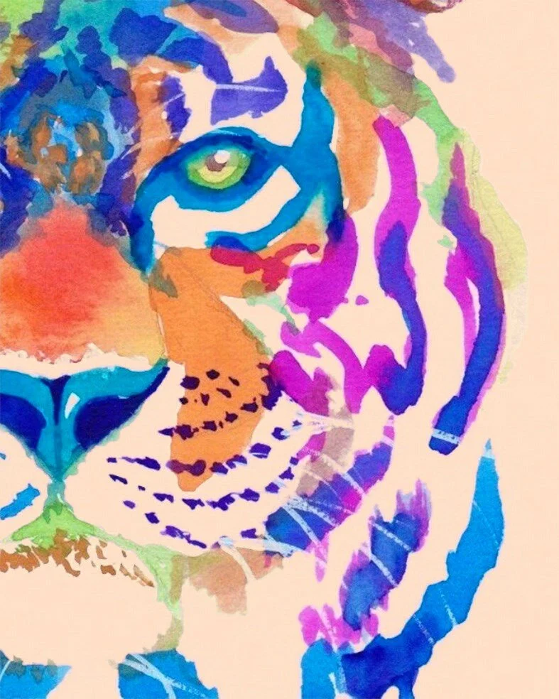 Ojo del Tigre