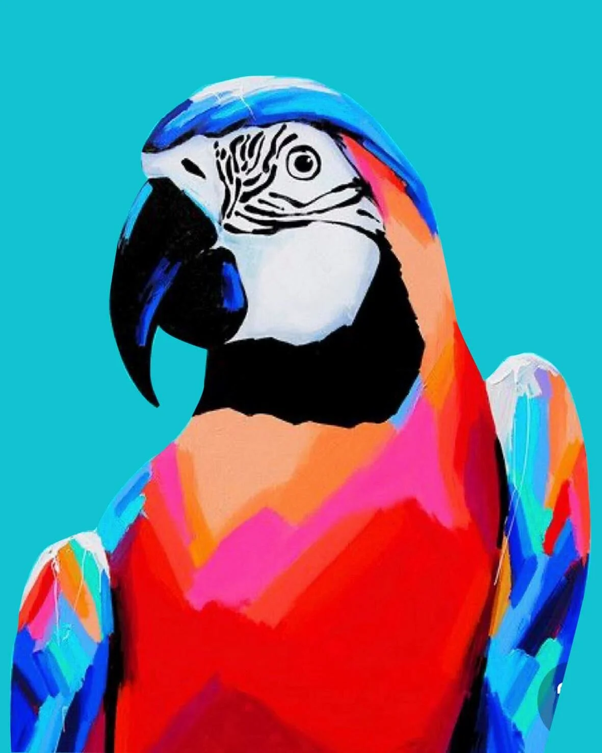 Loro Majo