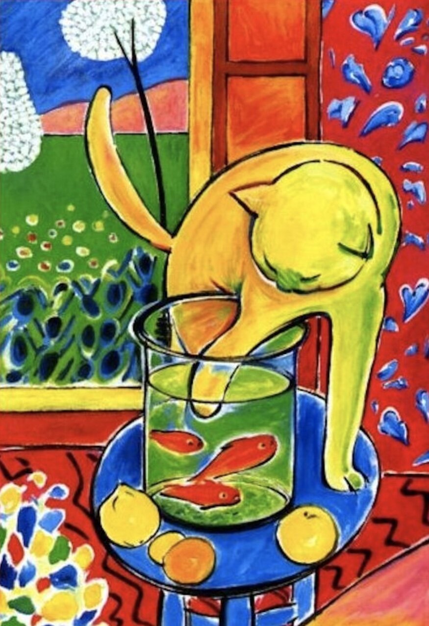 The Matisse Cat  |  El Gato de Matisse