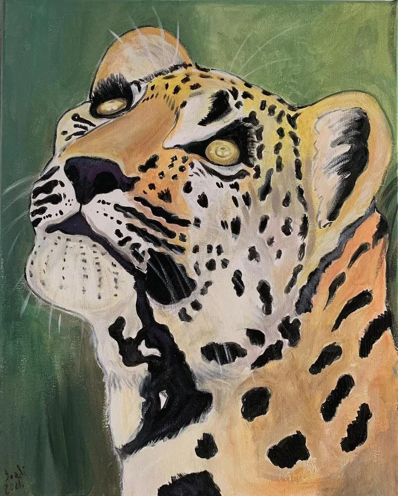 Hidden Leopard  |  Leopardo Escondido