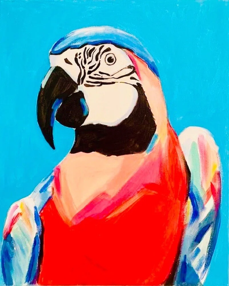 Pretty Polly