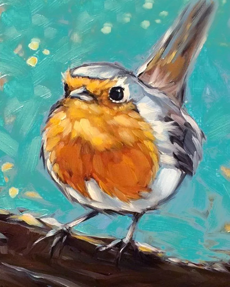 Winter Robin  |  Petirrojo de Invierno