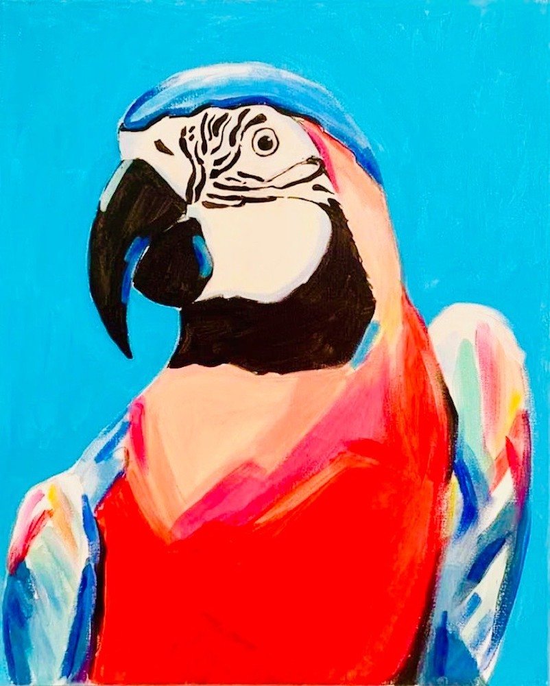 Pretty Polly