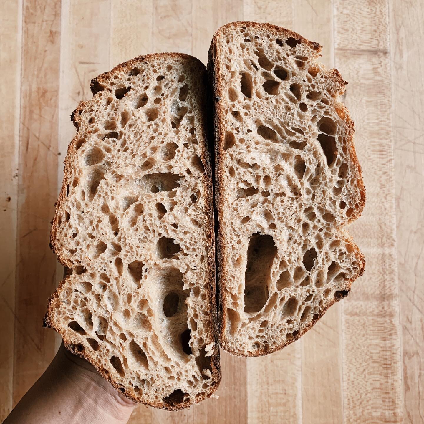 Made Whole Wheat bread using a combination of flours from both @flourist and @anitasorganic 

Sifted Bread Flour - Flourist 
Whole Grain Wheat - Flourist
Whole Grain Kamut - Anita&rsquo;s Organic
Overall Hydration is 84-85%

I added a small amount of