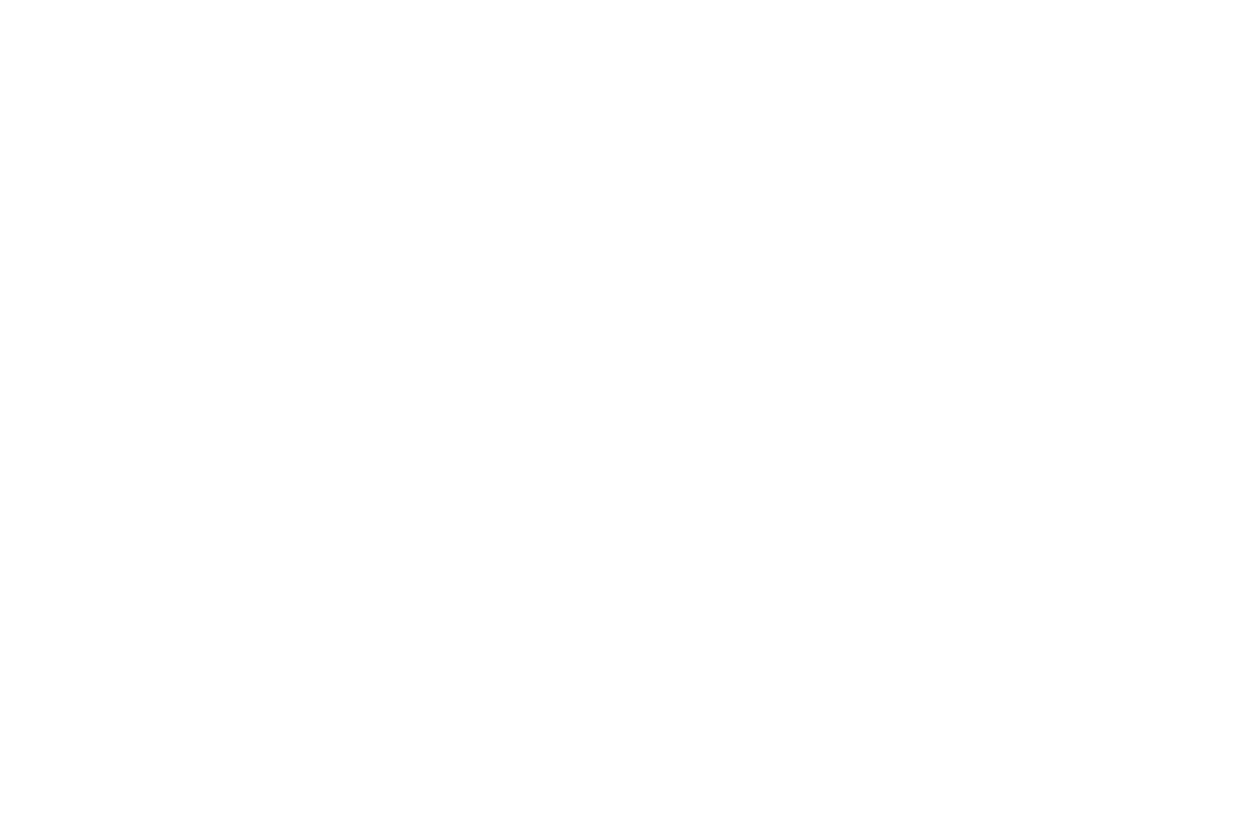 Dr Pepper logo in white