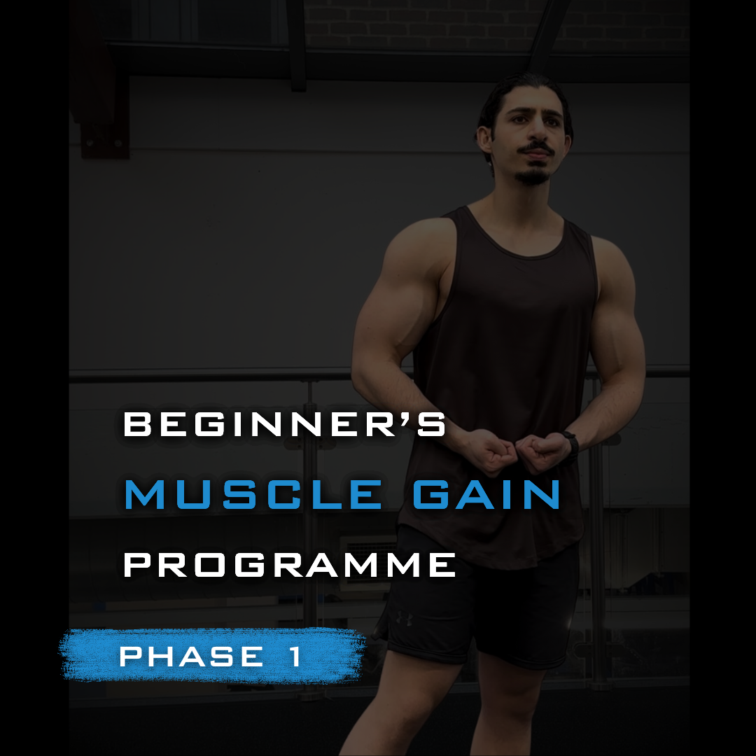 Phase 1 Muscle Gain System