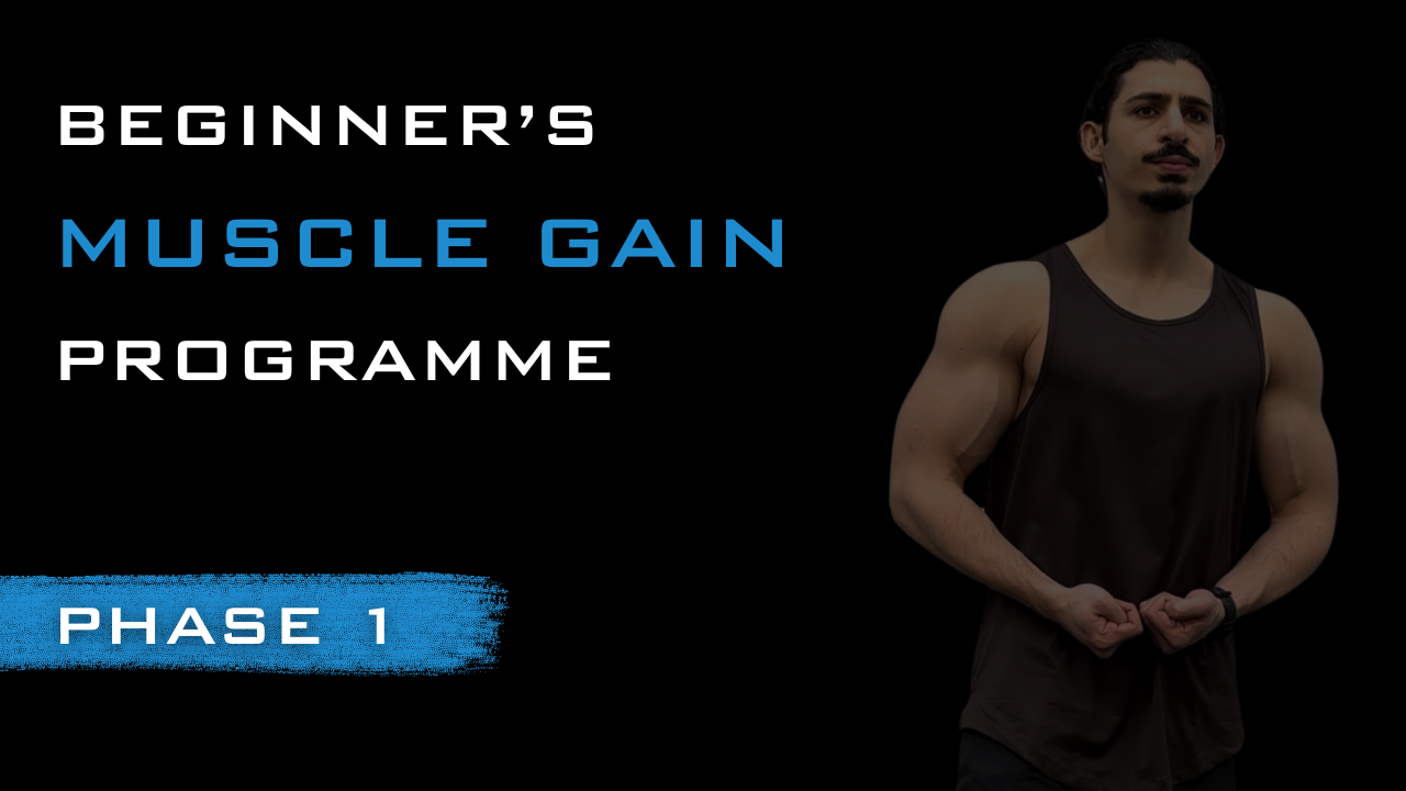 Phase 1 Muscle Gain System — Tim Bullici Personal Training