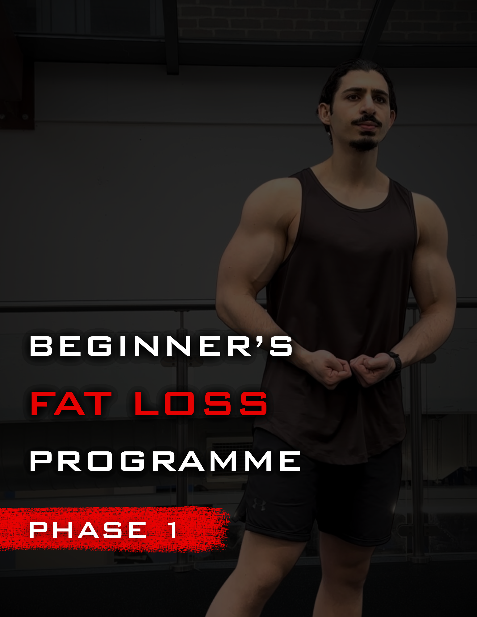 Beginner's FL Programme Cover-2.png