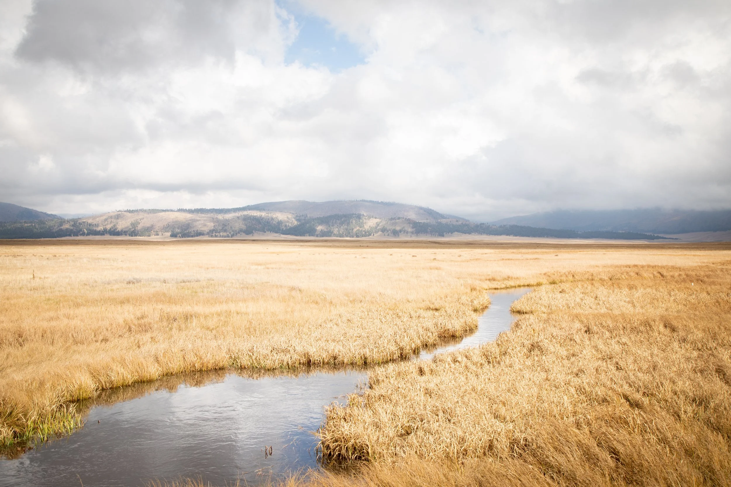 New Mexico (89 of 308).jpg